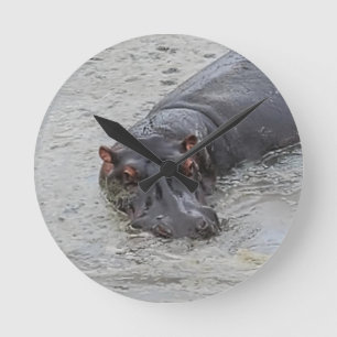 Horloge Ronde Hippoposterus