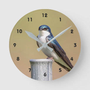 Horloge Ronde Hirondelle