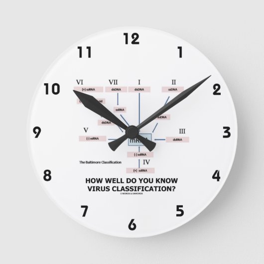 Horloge Ronde How Well Do You Know Virus Classification ? (Recto)