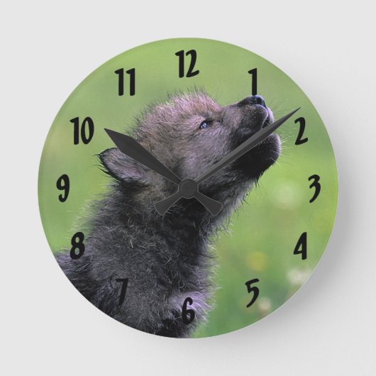Horloge Ronde Howling (Recto)