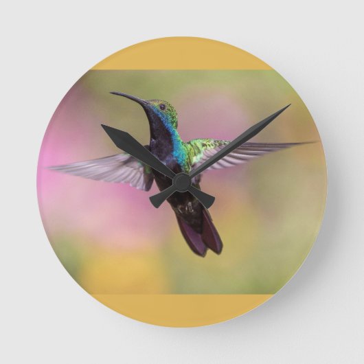 Horloge Ronde Humming Bird (Recto)