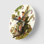 Horloge Ronde Illustration Audubon American Robin Wildlife Bird (Angle)