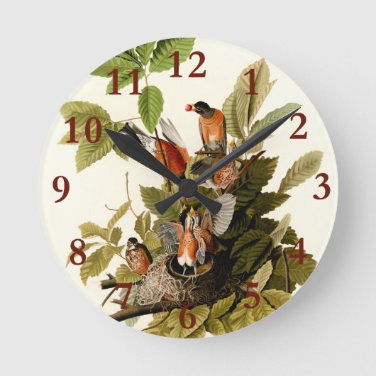 Horloge Ronde Illustration Audubon American Robin Wildlife Bird (Recto)