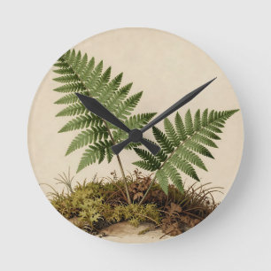 Horloge Ronde Illustration botanique de fougère classique