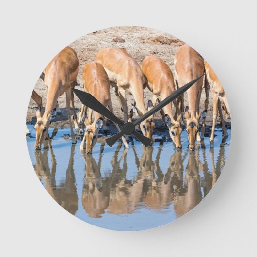 Horloge Ronde Impalas au trou d'eau (Recto)