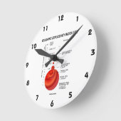 Horloge Ronde Indice d'explosivité volcanique Géologie Volcano (Angle)