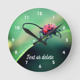 Horloge Ronde Insecte du scarabée rouge Fermer Personnalisé