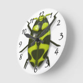 Horloge Ronde insecte insecte insecte insecte cocu (Angle)