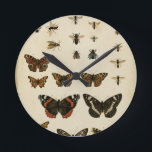 Horloge Ronde Insectes de jardin par le studio de vision<br><div class="desc">Ce morceau de studio de vision est un rêve d'entomologistes ! Des insectes de jardin sont dessinés sur un arrière - plan crème,  montré dans le détail achingly beau. Si vous aimez des insectes c'est la copie pour vous !</div>