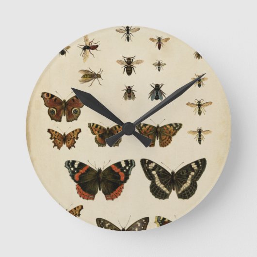 Horloge Ronde Insectes de jardin par le studio de vision (Recto)