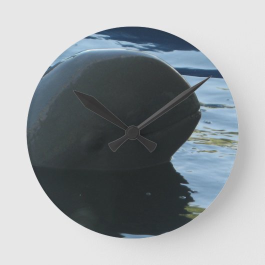 Horloge Ronde Irrawaddy Dolphin Peek-A-Boo (Recto)