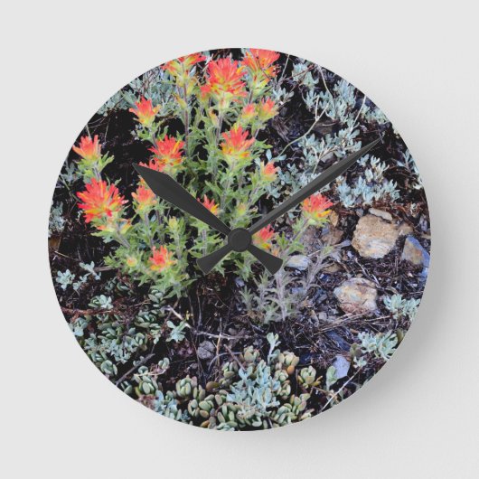 Horloge Ronde Jardin miniature au lac Gem (Recto)