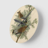 Horloge Ronde Jaseur cèdre d'Audubon (Angle)