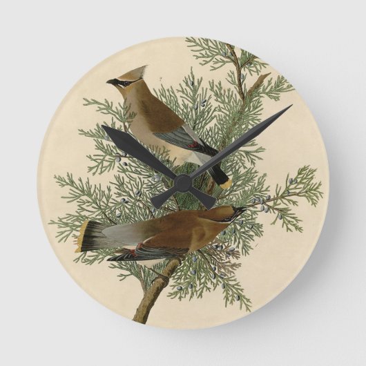 Horloge Ronde Jaseur cèdre d'Audubon (Recto)
