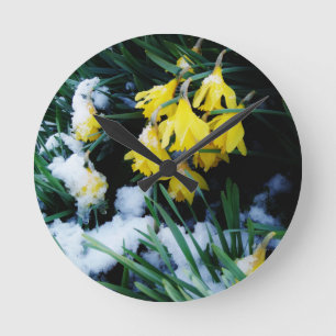 Horloge Ronde Jaune Daffodils fleurs dans la neige