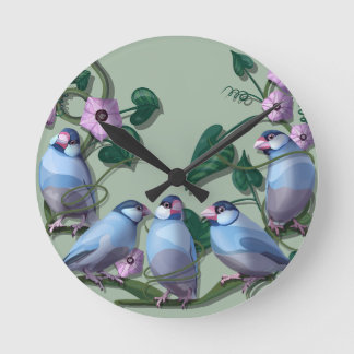 Horloge Ronde Java sparrows 