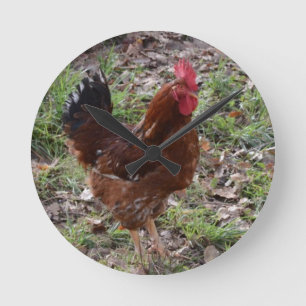 Horloge Ronde Jeune coq
