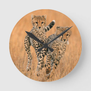 Horloge Ronde Jeunes guépards (Acinonyx Jubatus) en course