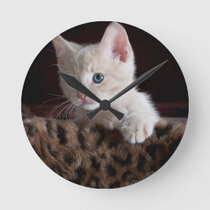 Horloge Ronde Joli Chat Qui Regarde