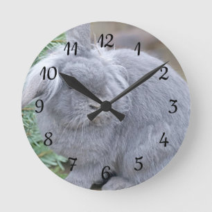 Horloge Ronde Joli lapin gris