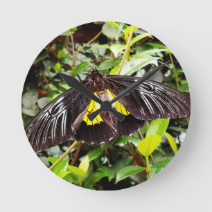 Horloge Ronde jolie photographie de papillon noir jaune