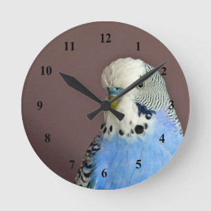 Horloge Ronde Jolie prise bleue