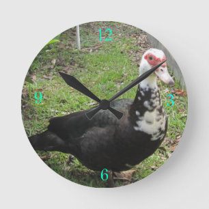 Horloge Ronde Juste un Qwack à temps