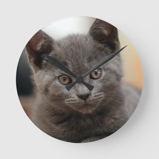 Horloge Ronde Kitten bleu russe (Recto)