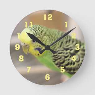 Horloge Ronde Kiwi