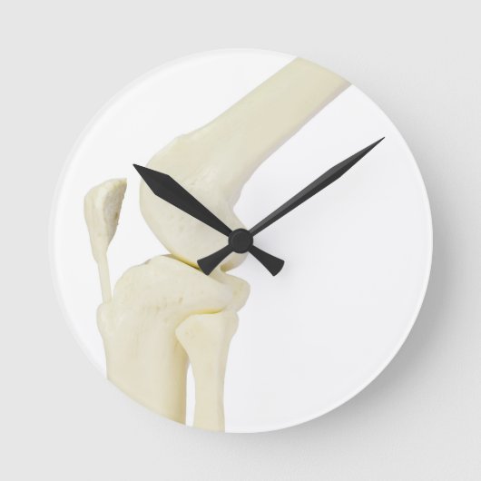Horloge Ronde Knee joint model of human leg (Recto)