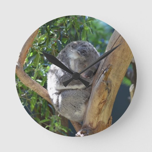 Horloge Ronde Koala dormant dans l'arbre (Recto)