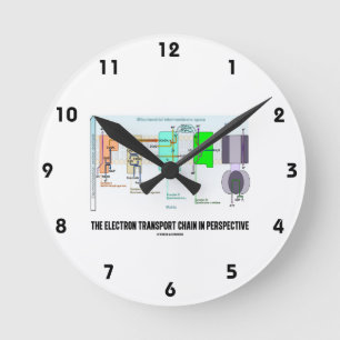 Horloge Ronde La Chaîne de Transport d'Électrons en Perspective