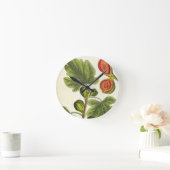 Horloge Ronde La Fig Tree, plate 125 from 'A Curious Herbal', p (Maison)