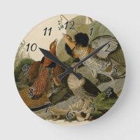 La peinture d'un trio de coqs rouillés d'Audubon