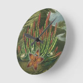 Horloge Ronde La stapélie portante, gravée par Stadler, (Angle)