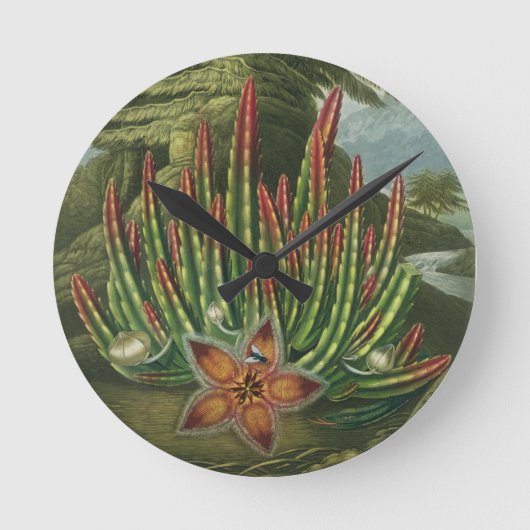 Horloge Ronde La stapélie portante, gravée par Stadler, (Recto)