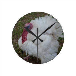 Horloge Ronde La Turquie blanche