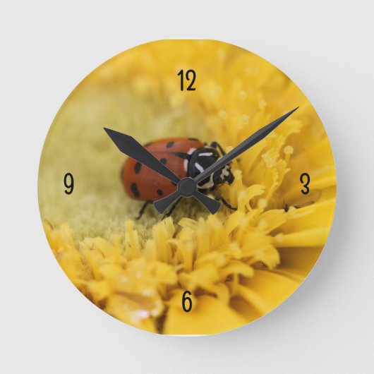 Horloge Ronde Ladybug (Recto)