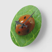 Horloge Ronde Ladybug Wall Clock (Angle)