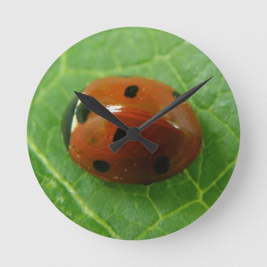 Horloge Ronde Ladybug Wall Clock (Recto)