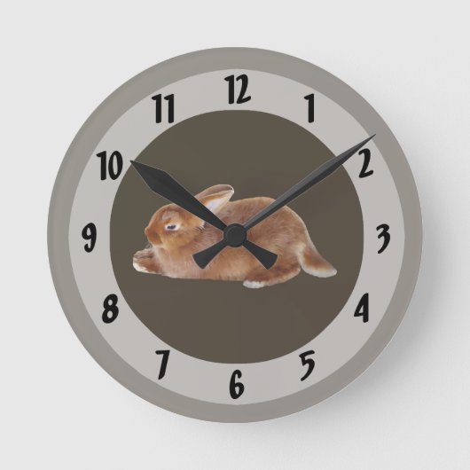 Horloge Ronde Lapin Brown (Recto)