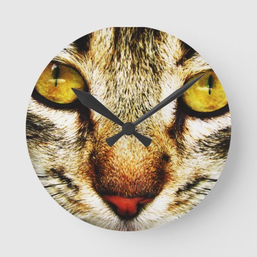 Horloge Ronde L'aspect expressif d'un chat domestique (Recto)