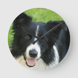 Horloge Ronde Le chien de border collie ajoutent l'animal