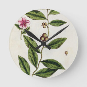 Horloge Ronde Le thé vert, plaquent 351 "d'un de fines herbes