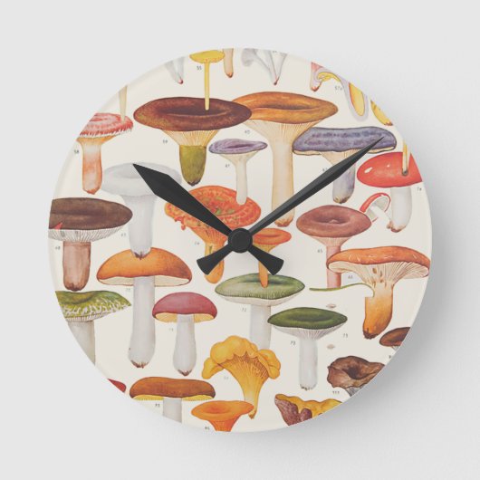 Horloge Ronde Les Champignons (Recto)