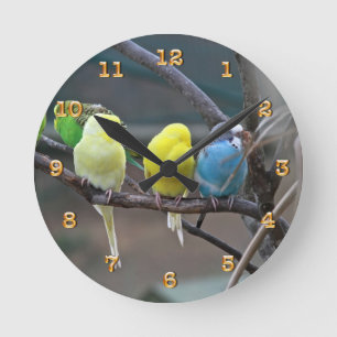 Horloge Ronde Les perruches de perruches Parrots la nature de