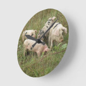 Horloge Ronde Les Pigs (Angle)