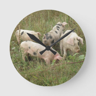 Horloge Ronde Les Pigs