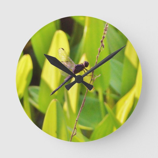 Horloge Ronde Libellule bleue et noire sur l'herbe (Recto)