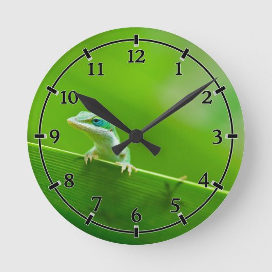 Horloge Ronde Lizard d'Anole verte Rencontre Petite chose mignon (Recto)